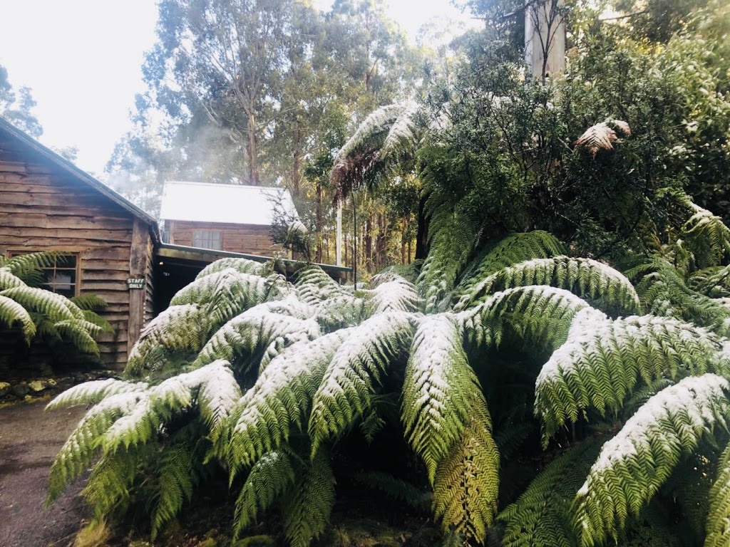Lemonthyme Wilderness Retreat | 770 Dolcoath Rd, Moina TAS 7310, Australia | Phone: (03) 6492 1112