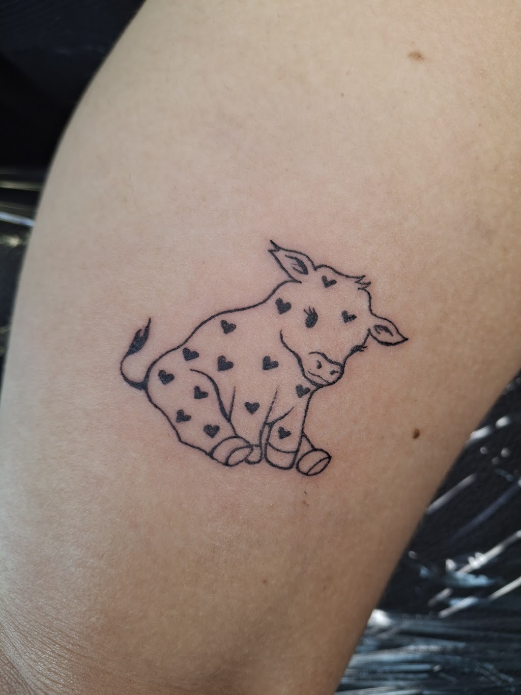 Alchemie Ink | 55 Owen St, Huskisson NSW 2540, Australia | Phone: 0493 325 530