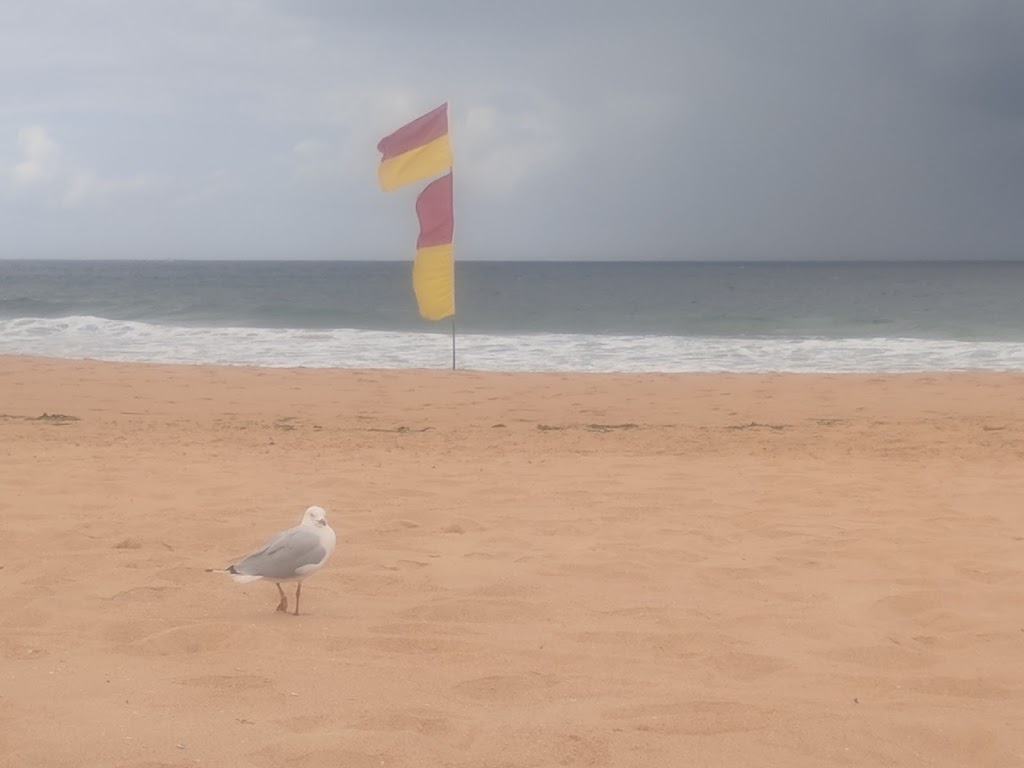 North Narrabeen Surf Life Saving Club | 2 Malcolm St, Narrabeen NSW 2101, Australia | Phone: (02) 9913 8810