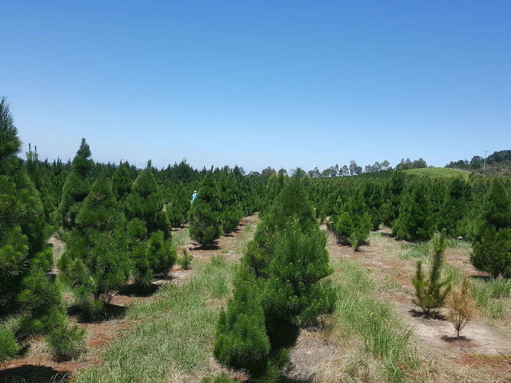 North Pole Christmas Trees Farm |  | 1000 Old Sydney Rd, Beveridge VIC 3064, Australia | 0393083571 OR +61 3 9308 3571