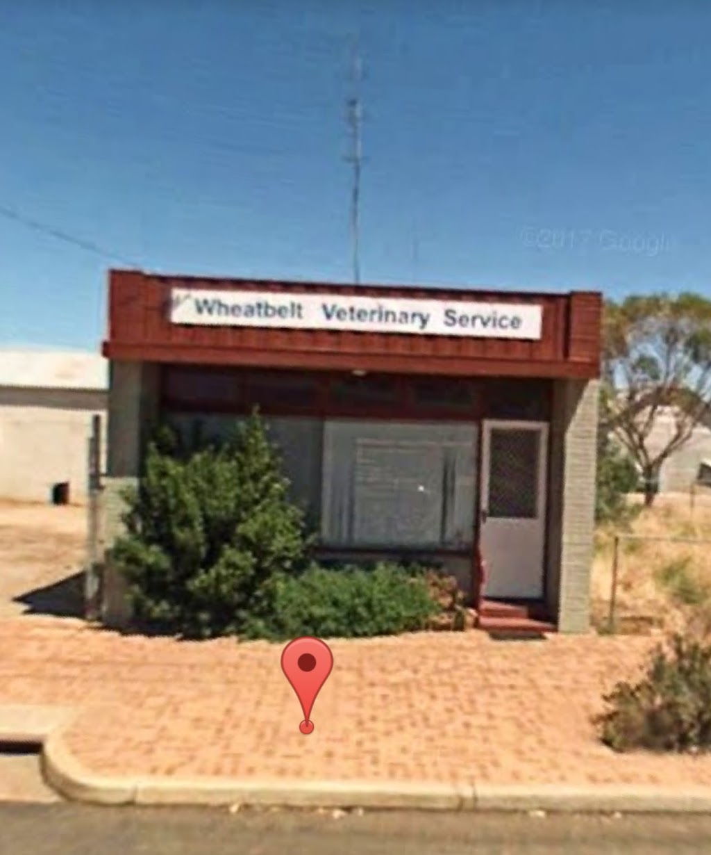 Wheatbelt Vet Services | 24 Elphin Cres, Wongan Hills WA 6603, Australia | Phone: (08) 9671 1108