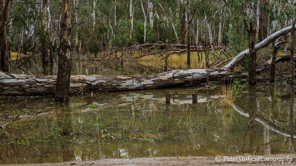 Yarrawonga Regional Park | Australia