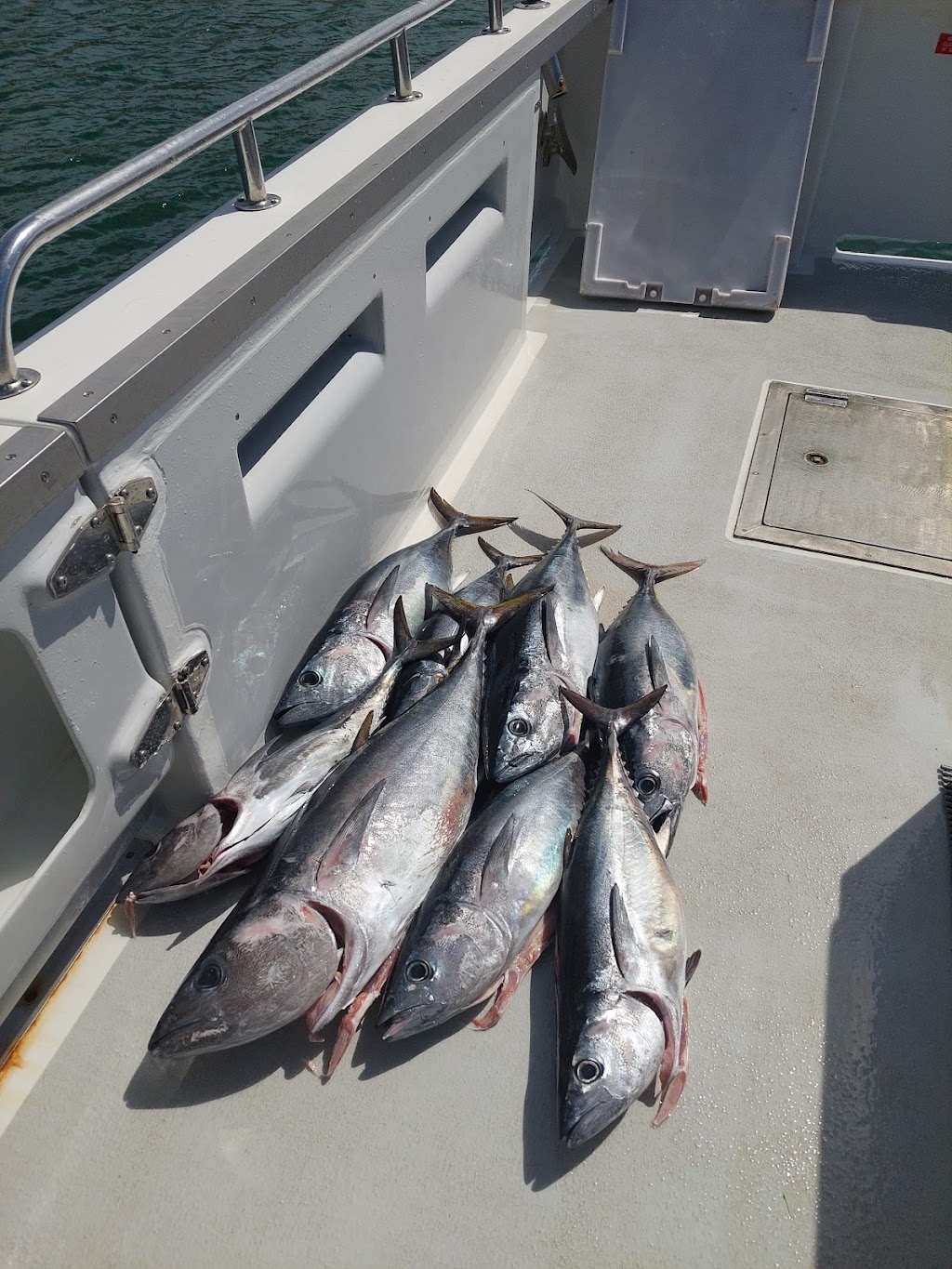 Southern Fishing Charters | 29 Fleurieu Ave, Cape Jervis SA 5204, Australia | Phone: (08) 8598 0146