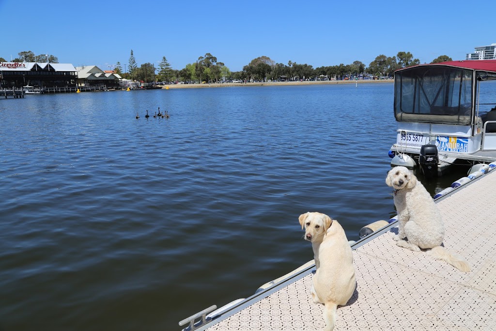 Mandurah Boat Hire | 20A Ormsby Terrace, Mandurah WA 6210, Australia | Phone: (08) 9535 5877