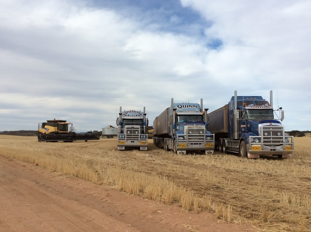 Quinn Transport |  | 3662 Birdseye Hwy, Cleve SA 5640, Australia | 0886282138 OR +61 8 8628 2138