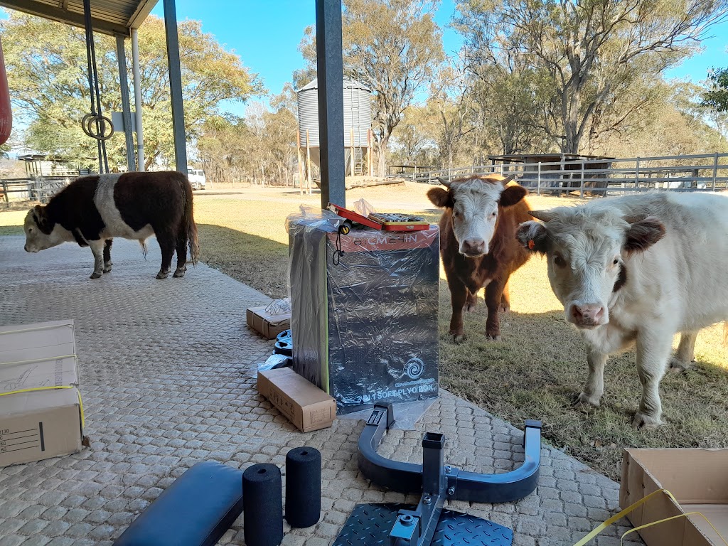 Larapinta Campers & Cows | 419 Christmas Creek Rd, Laravale QLD 4285, Australia | Phone: 0460 853 445