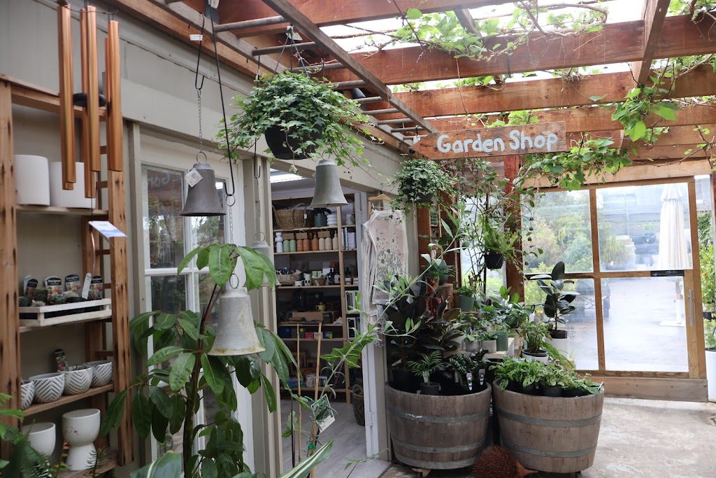 Poppies Anglesea | 1 Simmons Ct, Anglesea VIC 3230, Australia | Phone: (03) 5203 5785