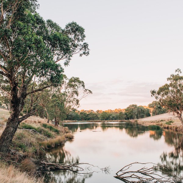 The Farm Yarra Valley | 21-23 Delaneys Rd, Warrandyte South VIC 3134, Australia | Phone: (03) 8820 8008