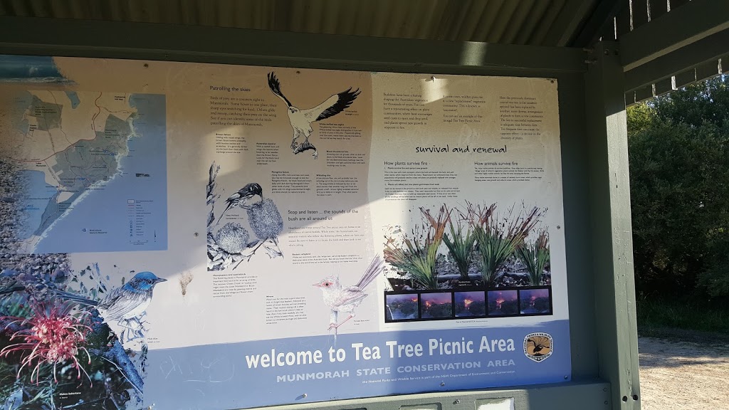 Car Park | parking | Tea Tree Birdie Link Track, Freemans NSW 2259, Australia