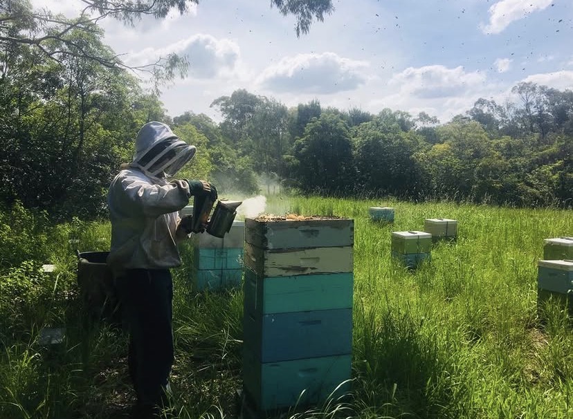 Cattai Ridge Honey | 5 Close St, South Coogee NSW 2034, Australia | Phone: 0423 074 994