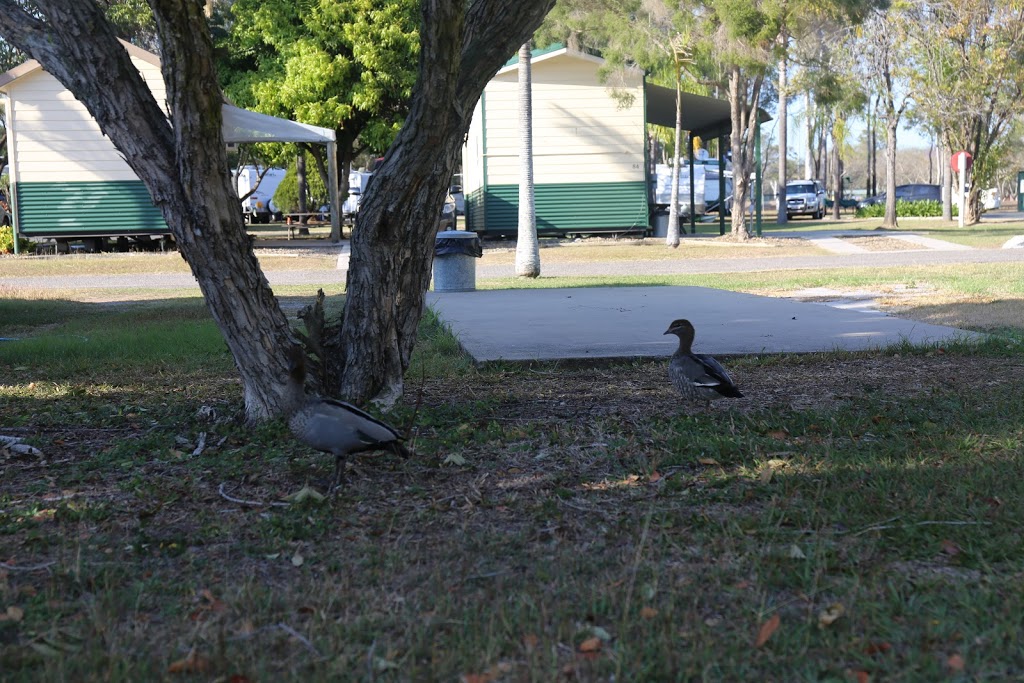 Boyne Island Caravan Park | rv park | 1 Jacaranda Dr, Boyne Island QLD 4680, Australia | 0749738888 OR +61 7 4973 8888