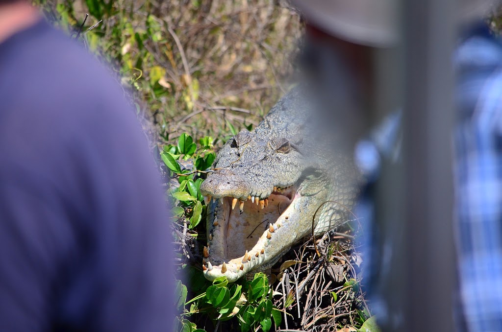 Mary River National Park | park | Point Stuart Rd, Point Stuart NT 0822, Australia | 0889788986 OR +61 8 8978 8986