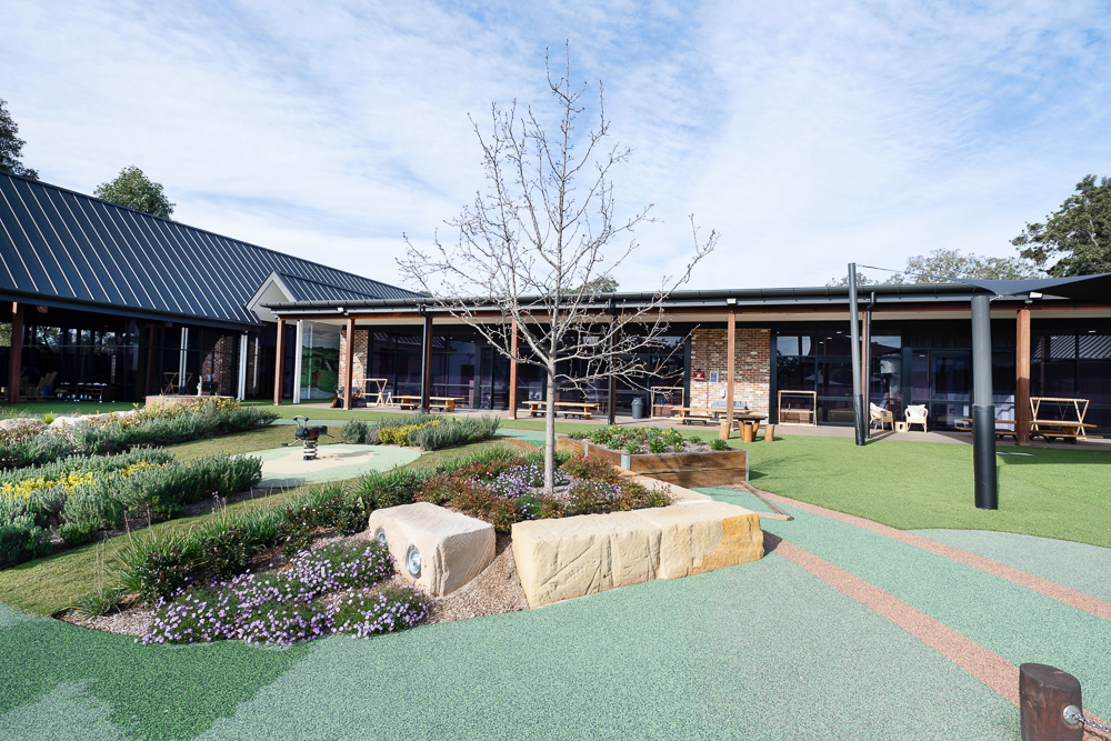 Exploring Tree Cobbitty | 335 Cobbitty Rd, Cobbitty NSW 2570, Australia | Phone: (02) 4601 4999