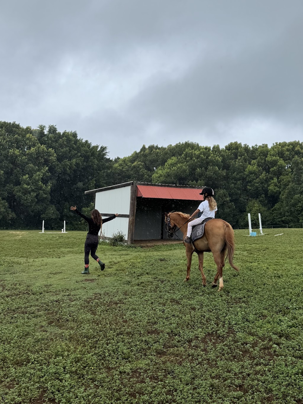 Equikids | 14 Ross Ln, Kinvara NSW 2478, Australia | Phone: 0450 623 086