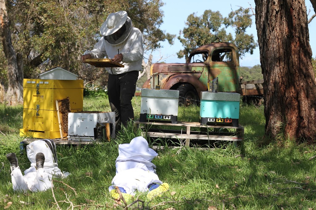 Ripple Farm Beekeeping | 16 Harrogate Rd, Gledhow WA 6330, Australia | Phone: 0409 117 651