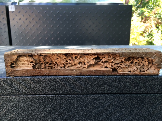 Noah’s Ark Termite Treatment - Maribyrnong | 6 Saltwater Cres, Maribyrnong VIC 3032, Australia | Phone: (03) 9372 2670