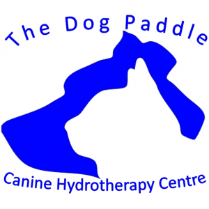 The Dog Paddle | veterinary care | 94 Caridean St, Heathridge WA 6027, Australia | 0893075041 OR +61 8 9307 5041