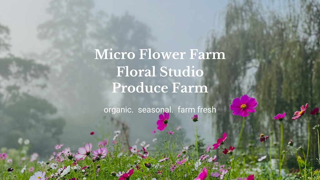 Weeping Willow Farm | Palmdale Rd, Palmdale NSW 2258, Australia | Phone: 0494 382 283