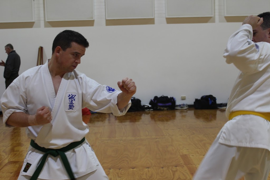 Seido Karate Bundoora | 1436 Plenty Rd, Bundoora VIC 3083, Australia | Phone: 0450 240 220