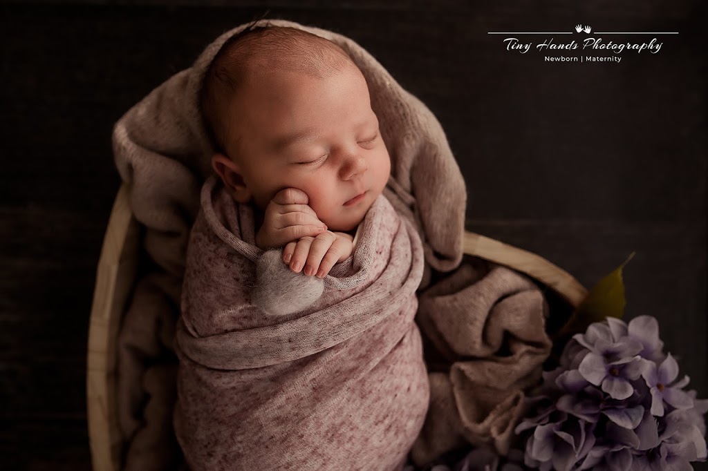 Tiny Hands Newborn Photography Maitland Newcastle | electronics store | 20 Lagoon Ave, Bolwarra NSW 2320, Australia | 0402525075 OR +61 402 525 075