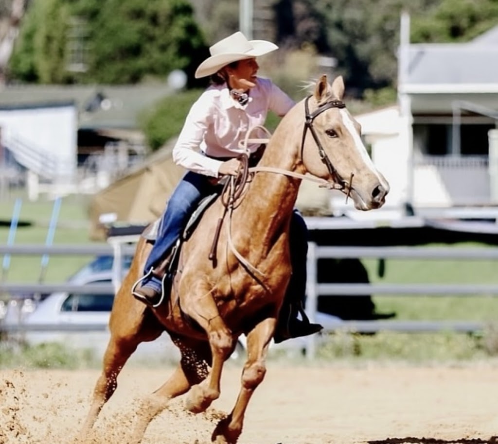 Tarcoola Performance Horses | 324 Pines Rd, Edenville NSW 2474, Australia | Phone: 0427 545 888