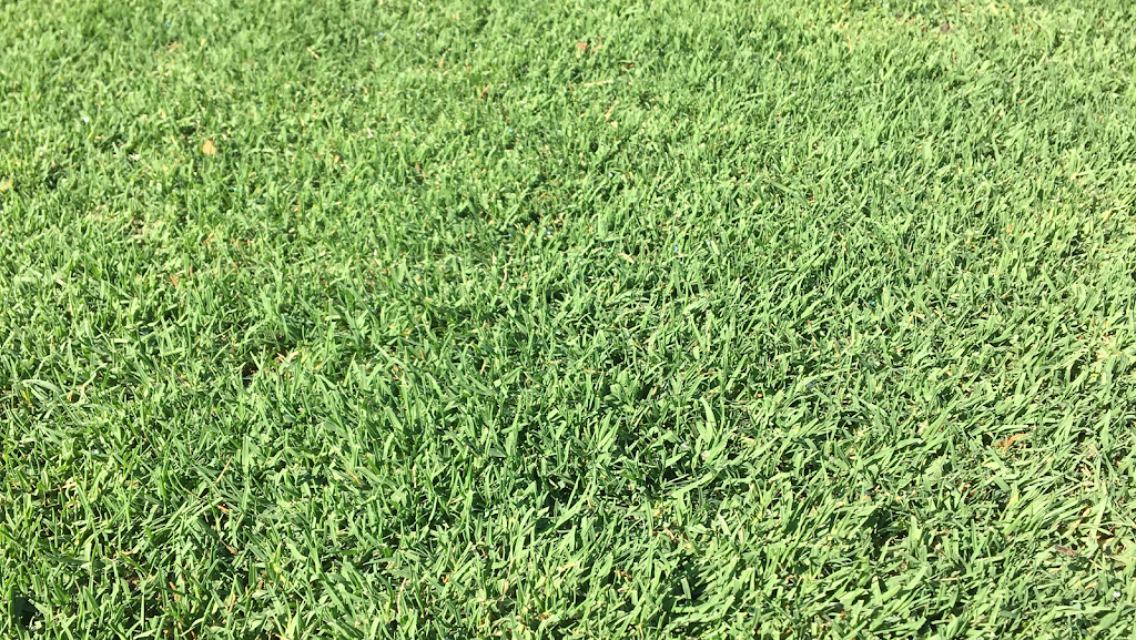 Grow Lawn Care Australia | 1 Windsor Rd, Kellyville NSW 2155, Australia | Phone: 0405 391 280