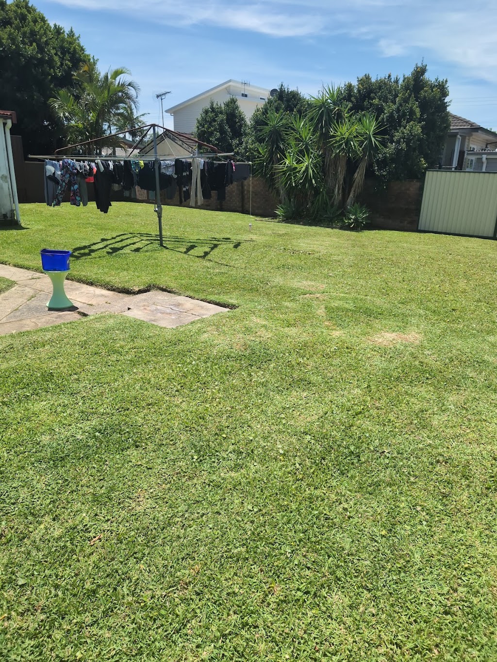 Budget Lawns Plus | 11 Helena St, Balcolyn NSW 2264, Australia | Phone: 1300 866 122
