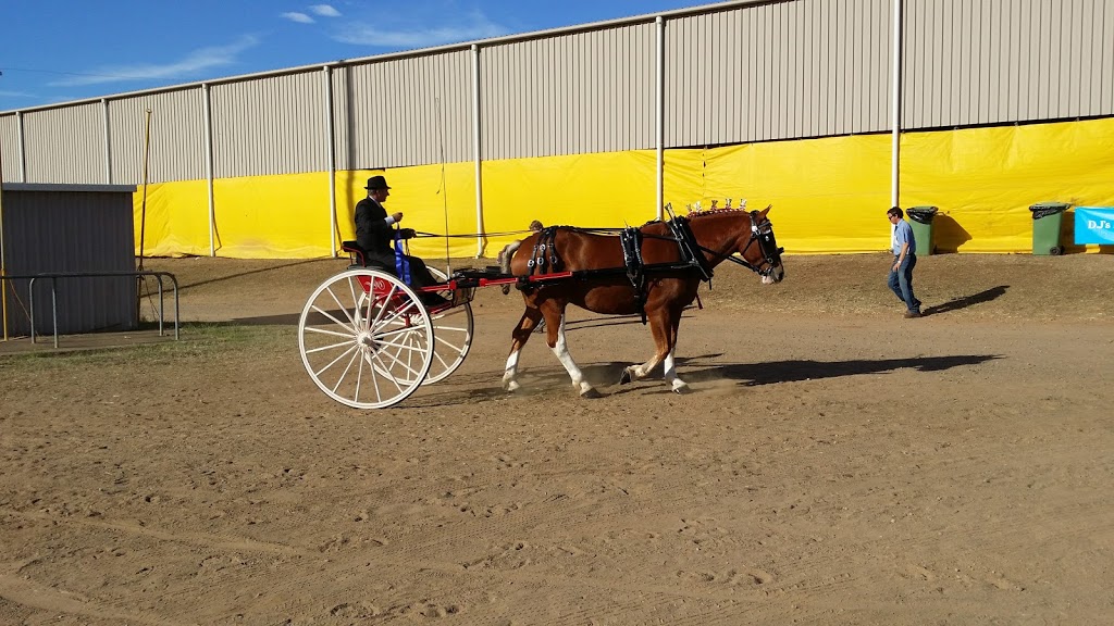 Indoor Equestrian Centre | Gatton QLD 4343, Australia | Phone: 0428 621 744