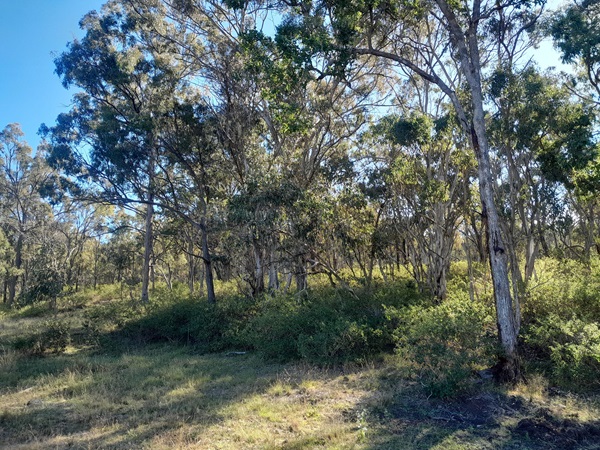 Strasser Earthmoving | 44 Taylor St, Oakey QLD 4401, Australia | Phone: 0423 281 897