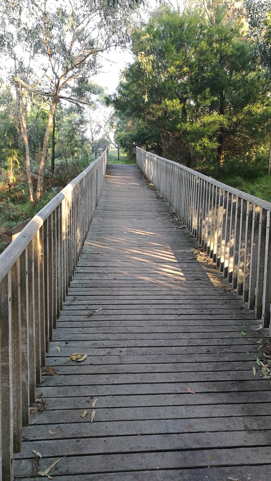 Candlebark Walk Reserve | park | 57 Croydon Hills Dr, Croydon Hills VIC 3136, Australia