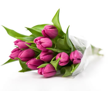 North Penrith Florist | florist | Lakeview Dr, Cranebrook NSW 2749, Australia | 0247020230 OR +61 2 4702 0230