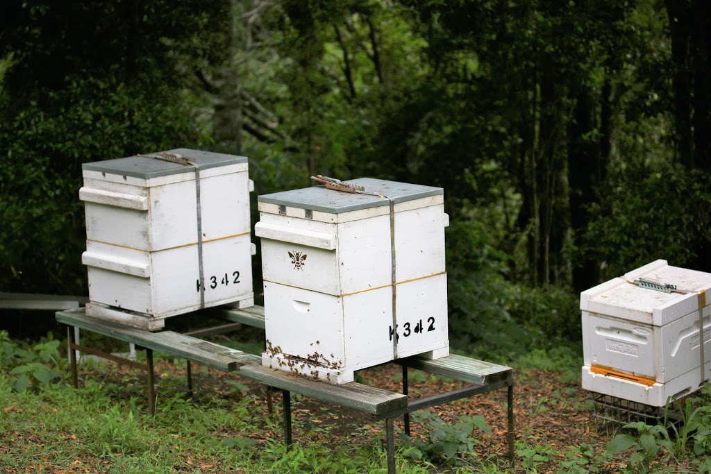 Harvest Honey Sunshine Coast |  | 188-206 Flaxton Dr, Flaxton QLD 4560, Australia | 0424537461 OR +61 424 537 461