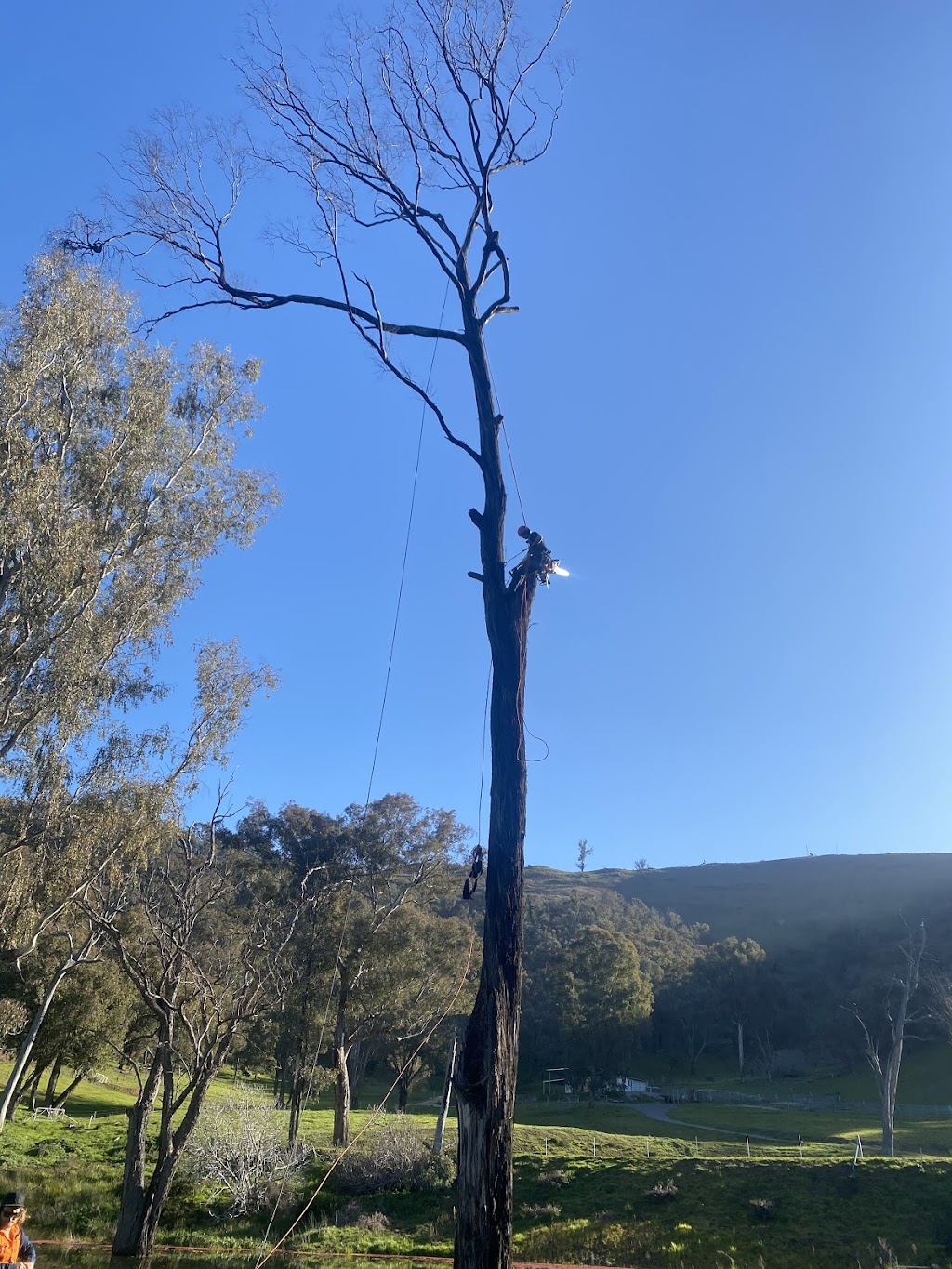 Ultimate Arbor | 406 Glenrowan Rd, Wangaratta South VIC 3678, Australia | Phone: 0477 776 131