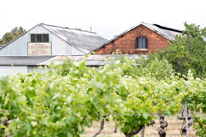 Chambers Rosewood Winery | tourist attraction | Barkly St, Rutherglen VIC 3685, Australia | 0260328641 OR +61 2 6032 8641