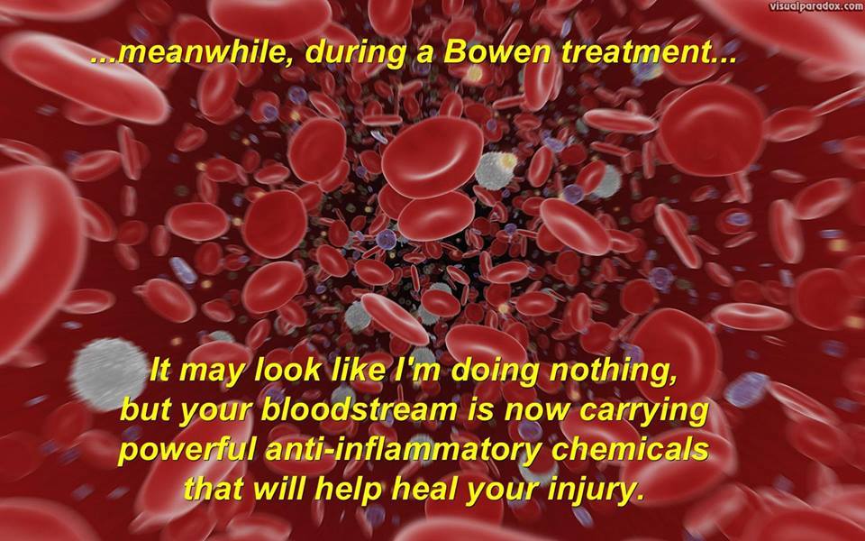 Bowen Therapy on the Gold Coast | health | 19 Riverwood Dr, Ashmore QLD 4214, Australia | 0421280501 OR +61 421 280 501