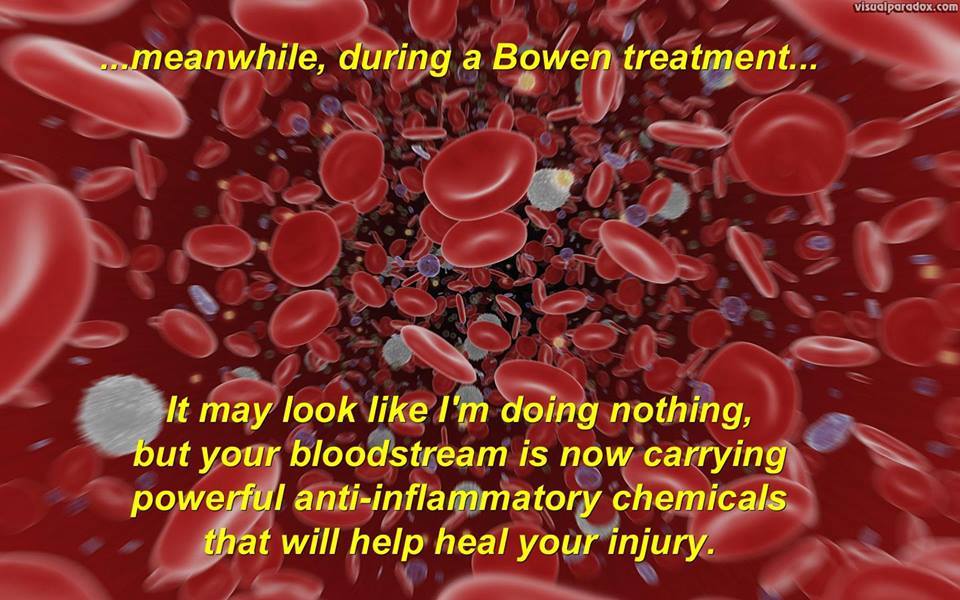 Bowen Therapy on the Gold Coast | 19 Riverwood Dr, Ashmore QLD 4214, Australia | Phone: 0421 280 501