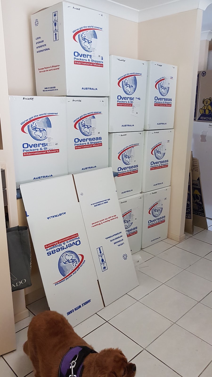 Overseas Packers & Shippers | moving company | 14-18 Russell St, Murrumba Downs QLD 4503, Australia | 1300732686 OR +61 1300 732 686