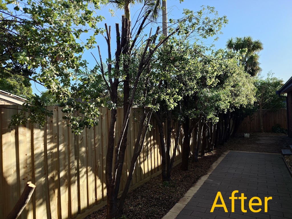 Victorian Tree Specialists | 281 Blackburn Rd, Blackburn South VIC 3130, Australia | Phone: 1300 604 510
