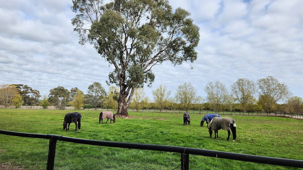 Willowood Farms | 515 River Rd, Murchison East VIC 3610, Australia | Phone: 0400 664 144