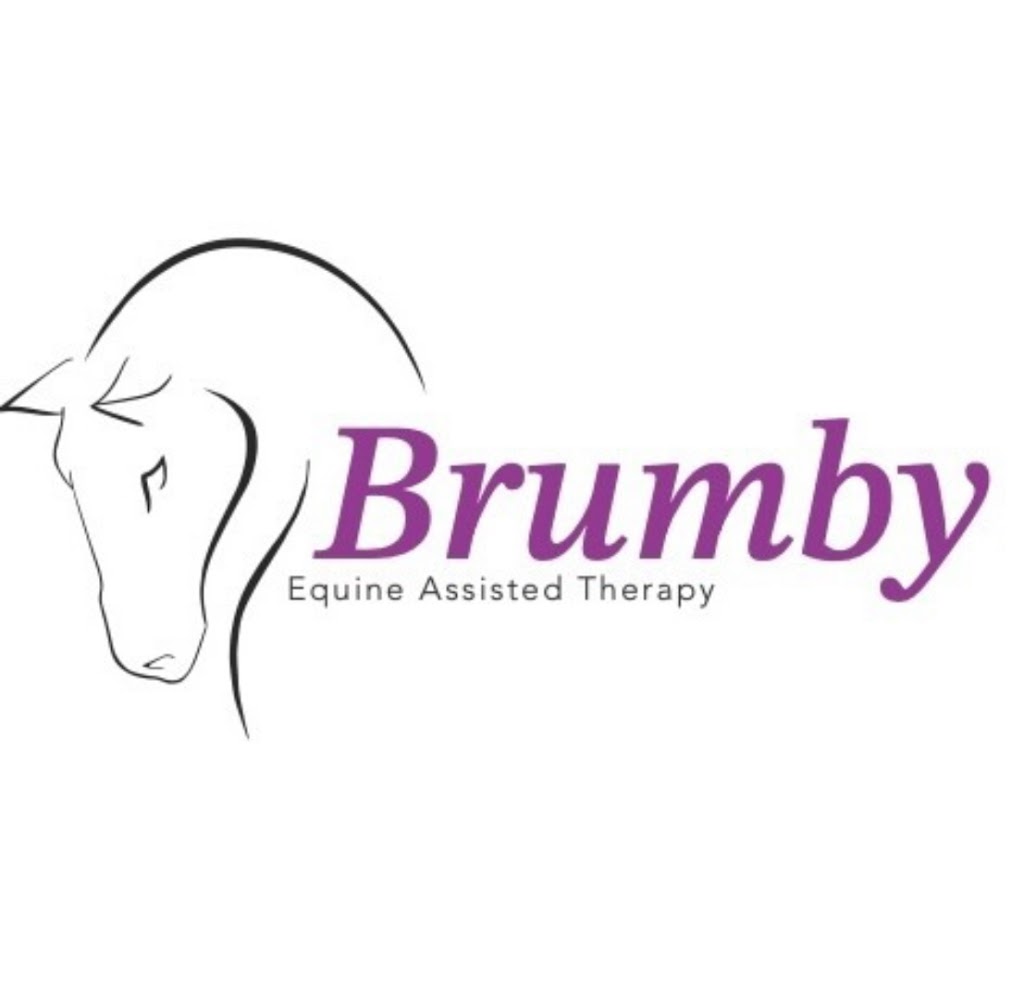 Brumby Equine Assisted Therapy | 10 Bruwalin Pl, Hartley NSW 2790, Australia | Phone: 0413 781 727