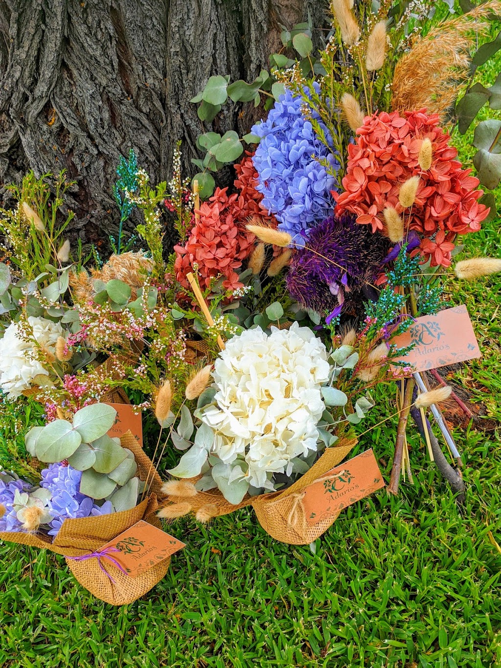 Adarios | Flowers & Candles | 10 Shephard Ct, Novar Gardens SA 5040, Australia | Phone: 0410 241 569