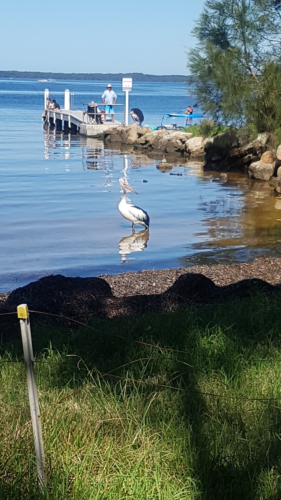 Erowal Bay Boat Ramp | 101 Naval Parade, Erowal Bay NSW 2540, Australia