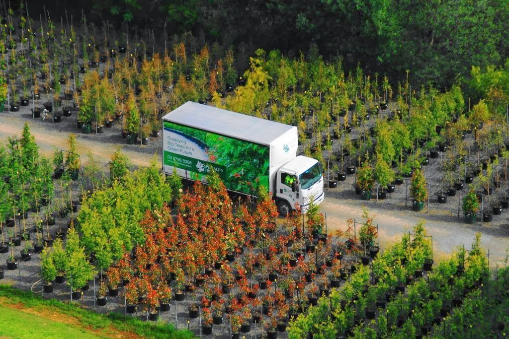 Speciality Trees |  | 1060 Wellington Rd, Narre Warren East VIC 3804, Australia | 0395542000 OR +61 3 9554 2000