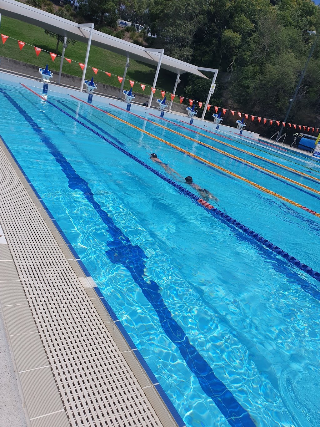 BlueFit Swimming - Bexley | 98c Preddys Rd, Bexley NSW 2207, Australia | Phone: (02) 9150 5288