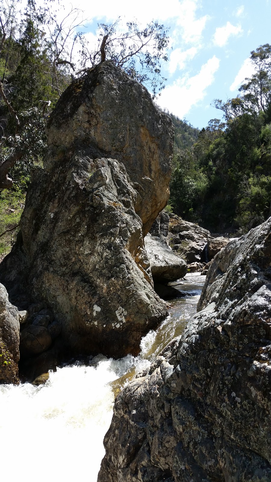 Brindabella National Park | park | Mountain Creek Rd, Uriarra NSW 2611, Australia | 1300072757 OR +61 1300 072 757