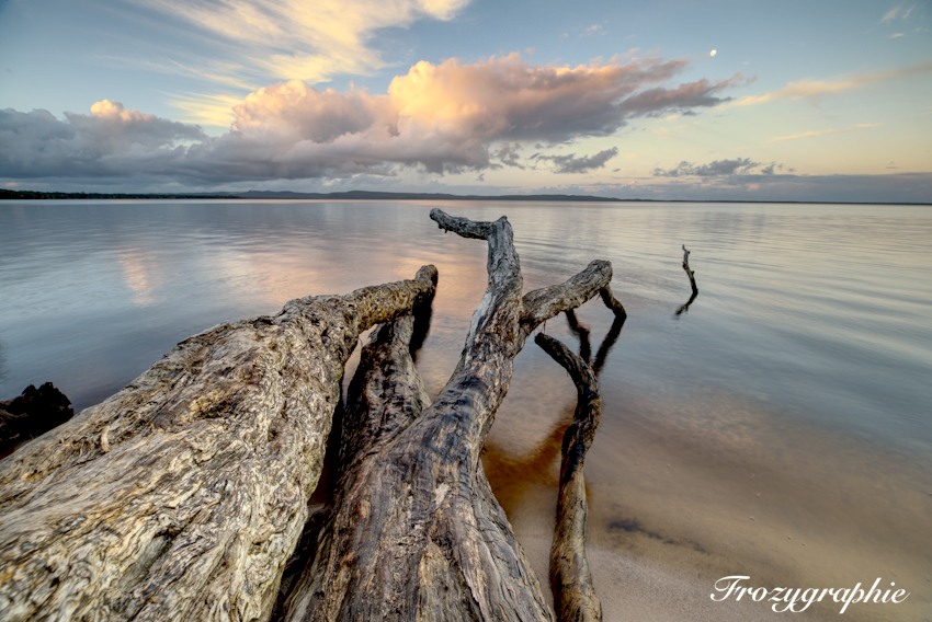 Frozigraphie nature photography | 19a Hessen Pl, Ringtail Creek QLD 4565, Australia | Phone: 0411 722 521