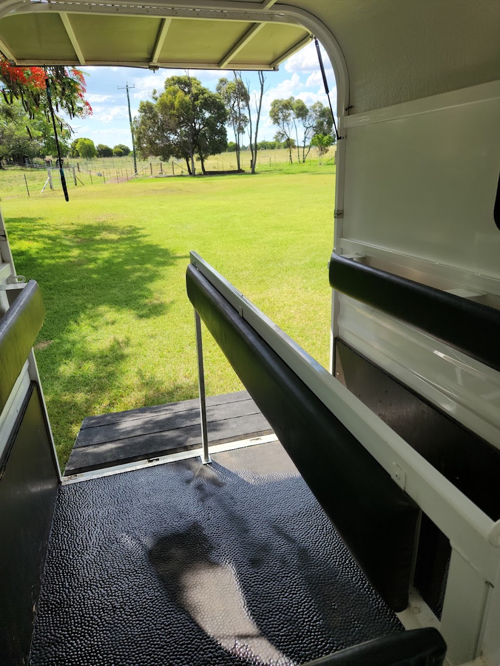 Halo Detailing | 112 Bayview St, Runaway Bay QLD 4216, Australia | Phone: 0415 070 194