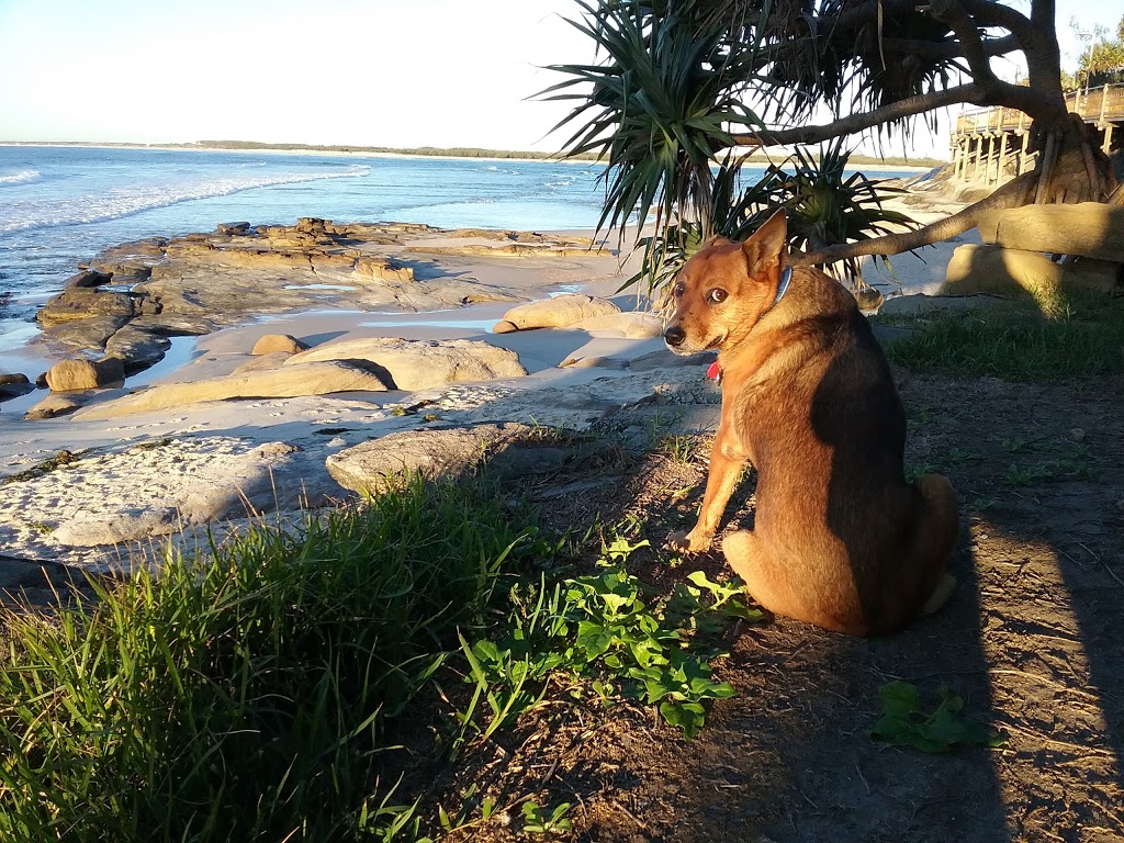 Pandanus Shores | lodging | 2 Dingle Ave, Caloundra QLD 4551, Australia | 0754996688 OR +61 7 5499 6688