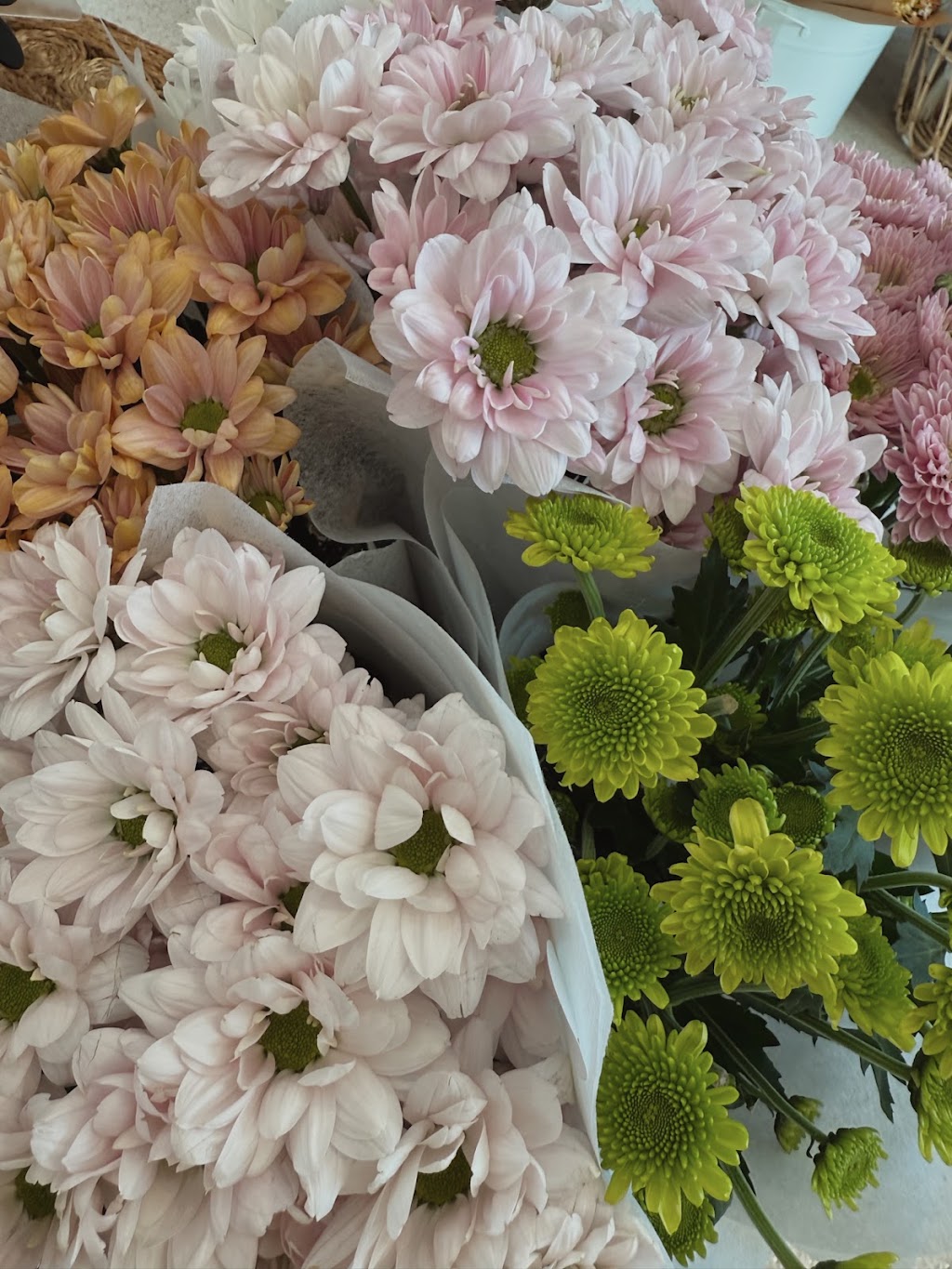 Life With Petals | Shop 5/252 Lakedge Ave, Berkeley Vale NSW 2261, Australia | Phone: 0419 109 990