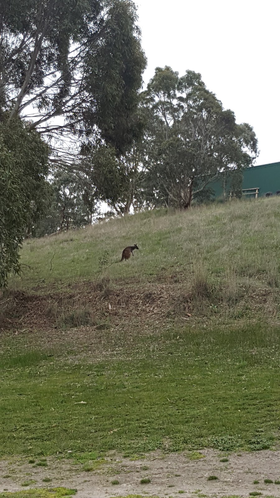 Mount Pleasant & District Golf Club |  | 45 Golf Course Road, Mount Pleasant-Keyneton Road, Mount Pleasant SA 5235, Australia | 0885682652 OR +61 8 8568 2652